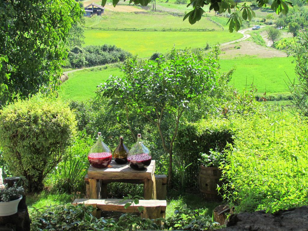Summerhouse Beram Pazin Ngoại thất bức ảnh
